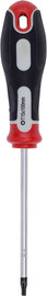 Varo מברג טורקס 100 מ"מ  KRT404106  T15